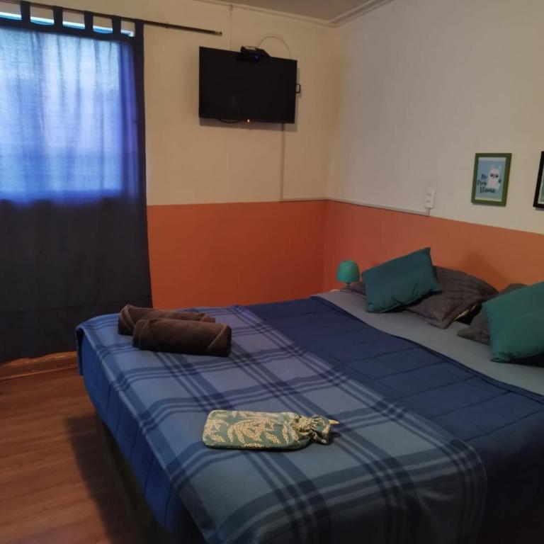 Villarica - Casa con 1 dormitorio - 2