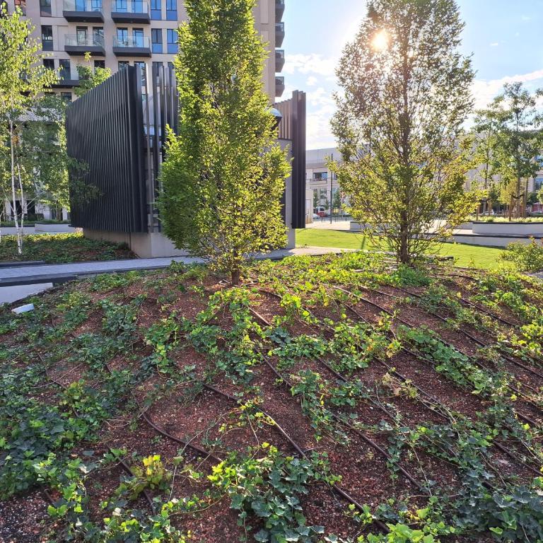 Apartment Belgrade Waterfront LUX -Libera 413 - Deluks Dvokrevetna Soba sa Bračnim Krevetom - 31