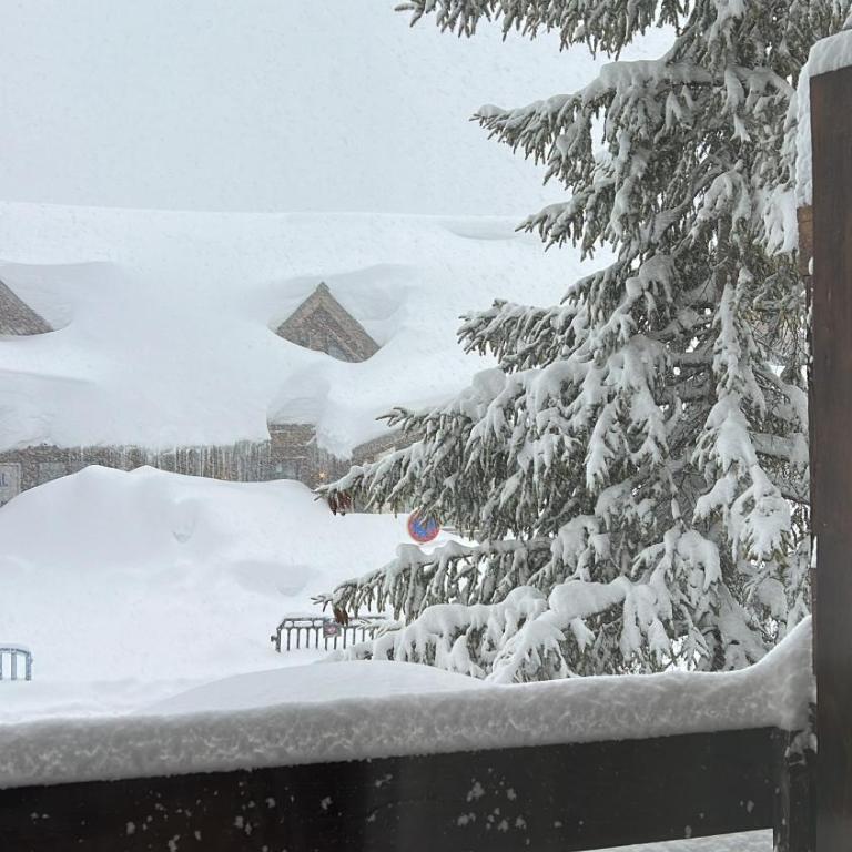 Studio 4 personnes Isola 2000 front de neige - Appartement 1 Chambre - 19