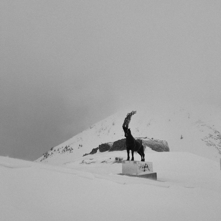 Studio 4 personnes Isola 2000 front de neige - Appartement 1 Chambre - 43