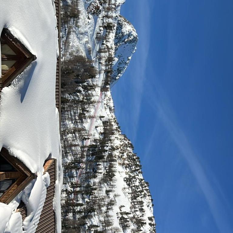 Studio 4 personnes Isola 2000 front de neige - Appartement 1 Chambre - 18