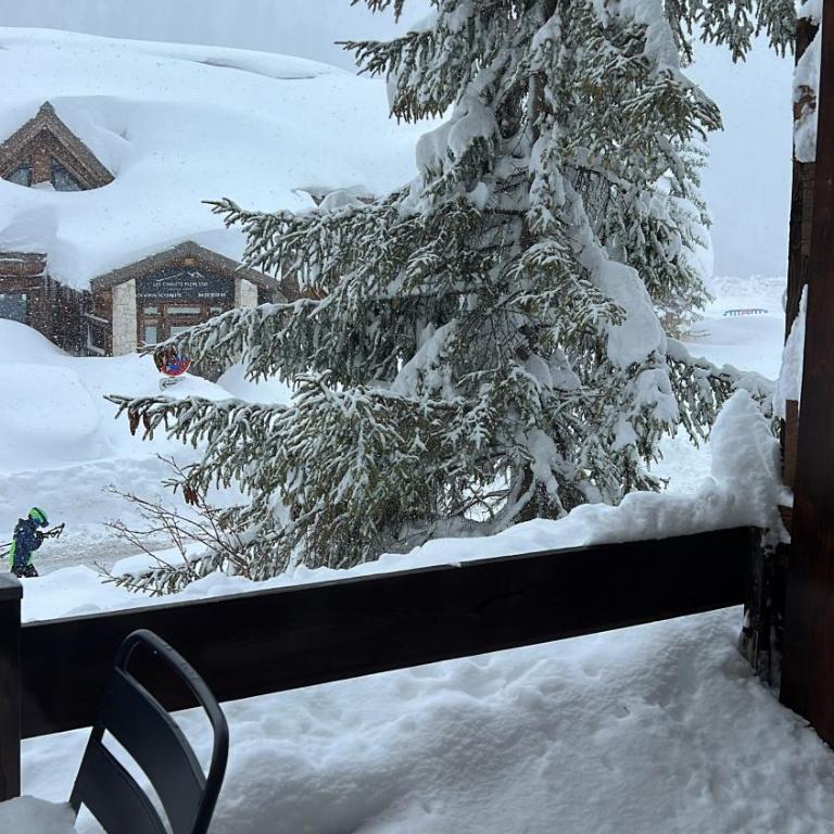 Studio 4 personnes Isola 2000 front de neige - Appartement 1 Chambre - 25