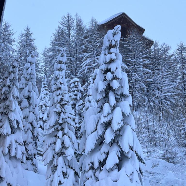 Studio 4 personnes Isola 2000 front de neige - Appartement 1 Chambre - 21