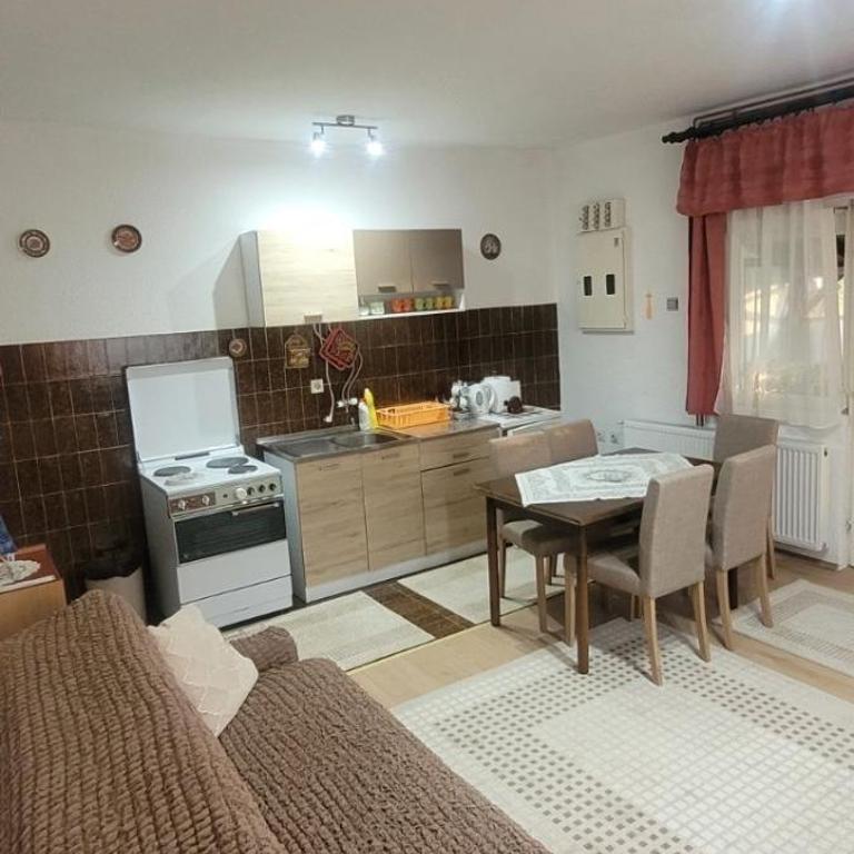 Apartman Marija - Apartman sa 1 Spavaćom Sobom - 10