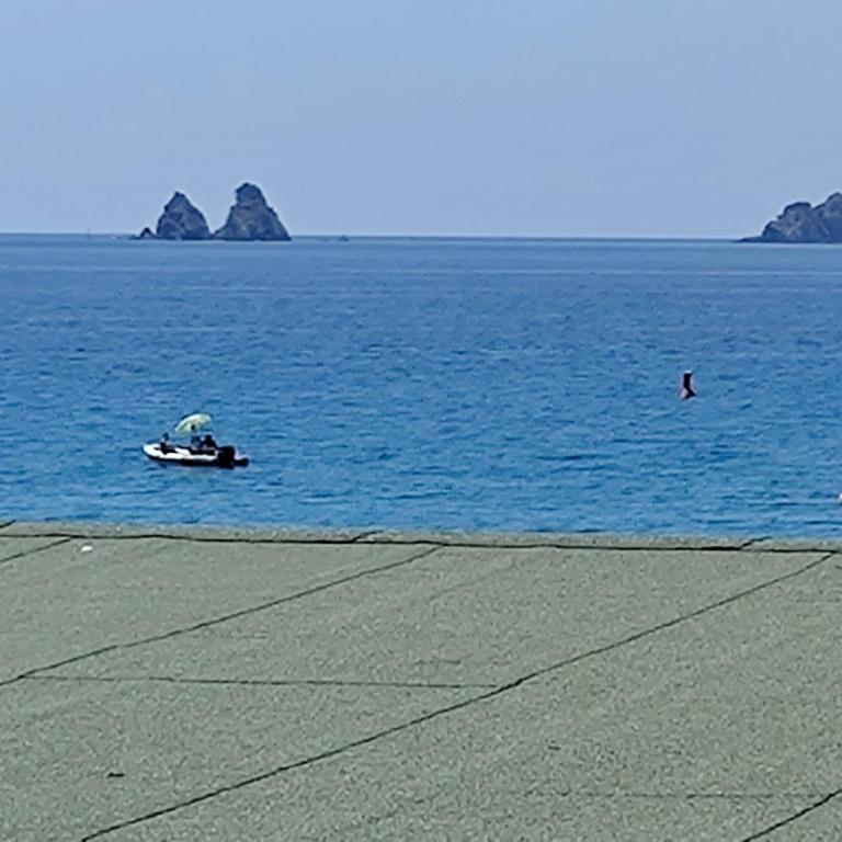 bord de mer "L'ONADA" Sablettes Saint Elme Saint Mandrier - Appartement 1 Chambre - 1