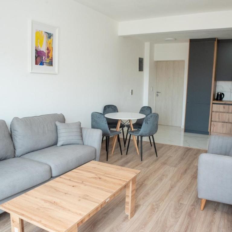 Suri Apartments - Two-Bedroom Deluxe Apartment with Balcony - 5