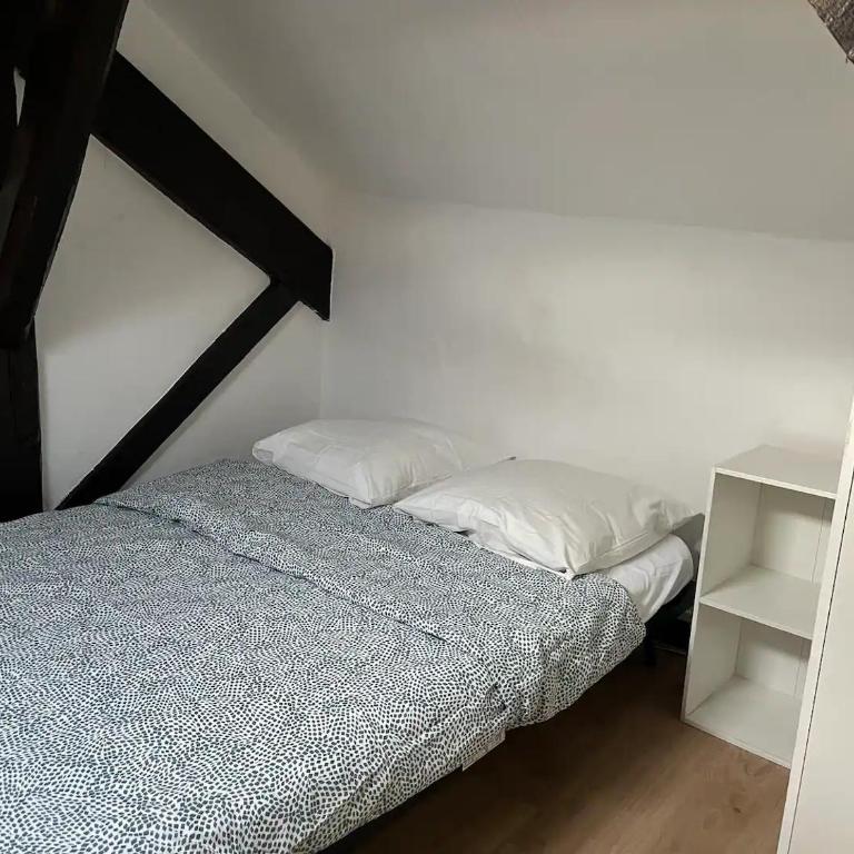 Charmant T3 cœur de ville - Apartment mit 2 Schlafzimmern - 13