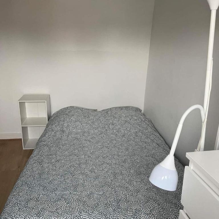 Charmant T3 cœur de ville - Apartment mit 2 Schlafzimmern - 12