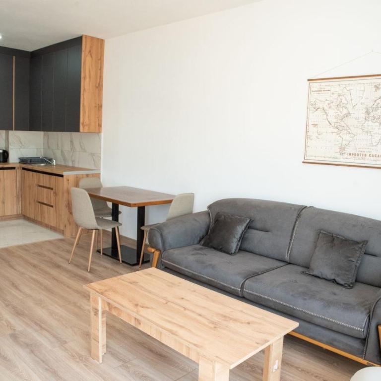 Suri Apartments - One-Bedroom Apartment - 13