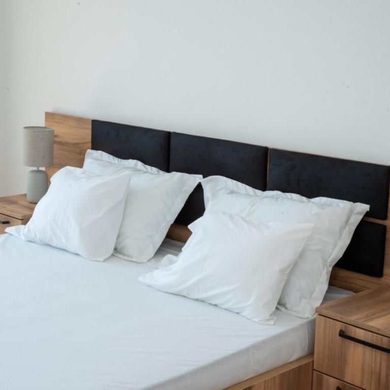 Suri Apartments - Two-Bedroom Apartment with Balcony - 6