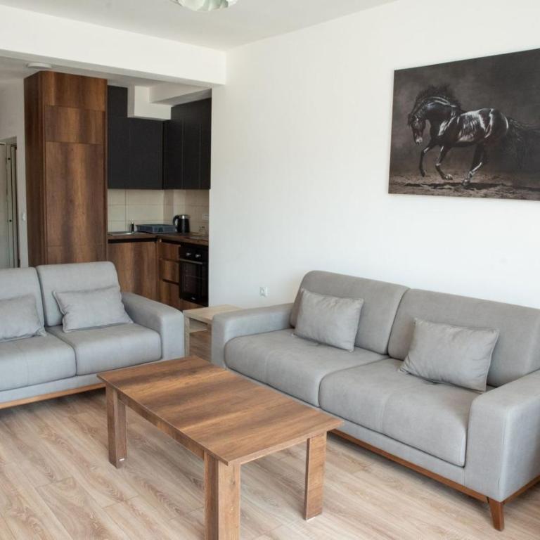 Suri Apartments - Two-Bedroom Apartment with Balcony - 4