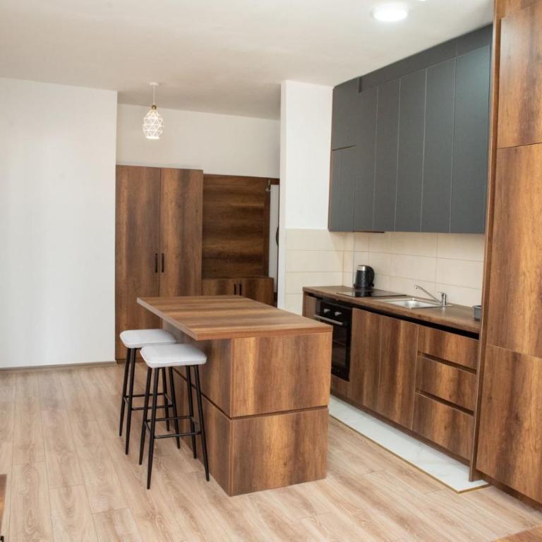 Suri Apartments - Superior One-Bedroom Apartment - 7