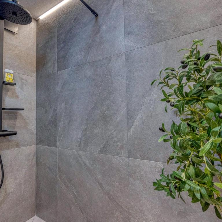 Le Jungle - Rocade - Grand Place - Appartement 2 Chambres - 15