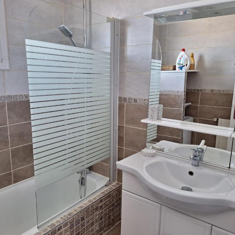 Appartement Schaffhauser - Apartamento con terraza - 10