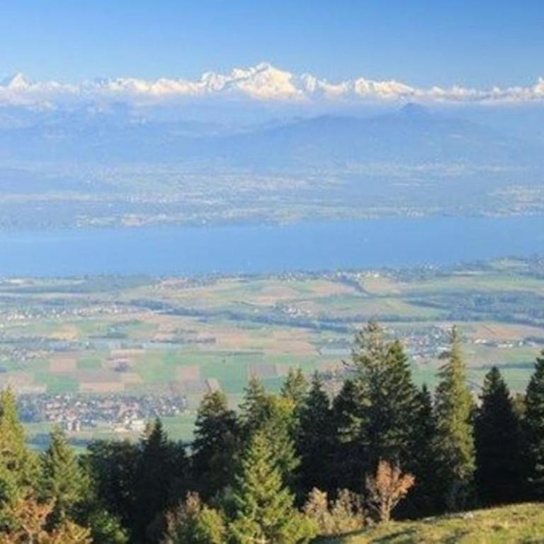 30C Route d'Arzier - Apartment - 29
