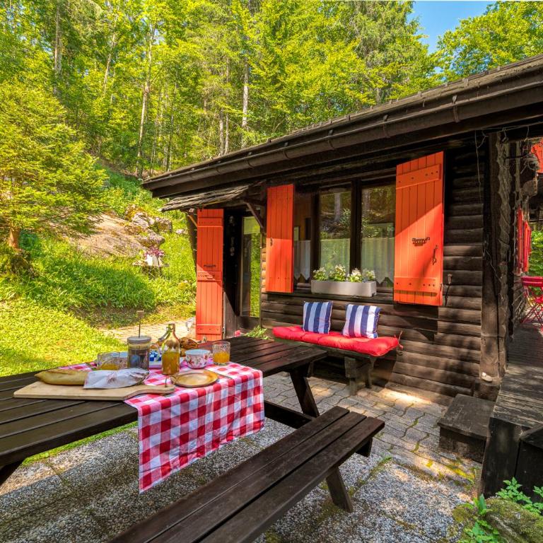 Le Petit Rêve - Lac de Montriond - Chalet 1 Chambre - 24