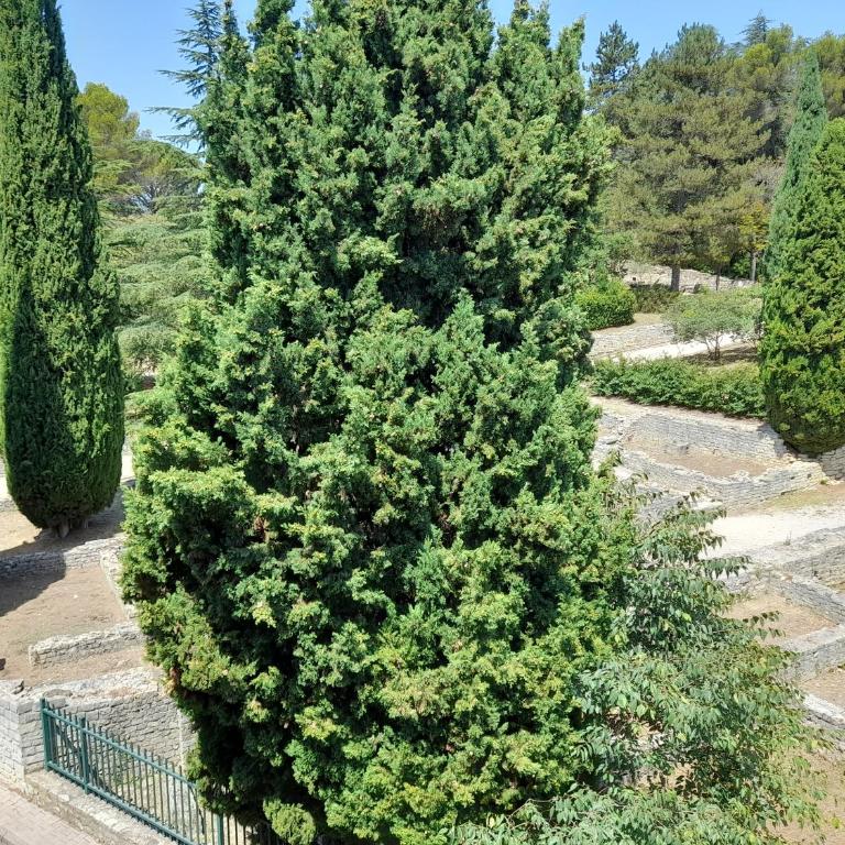 Grande terrasse et vue sur le site antique - Appartement 2 Chambres - 12