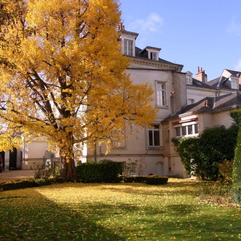 A l'abri du Ginkgo - Appartement 3 Chambres - 2