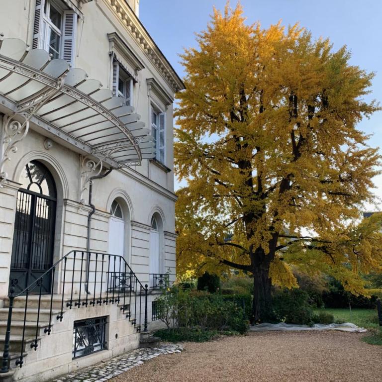 A l'abri du Ginkgo - Appartement 3 Chambres - 1