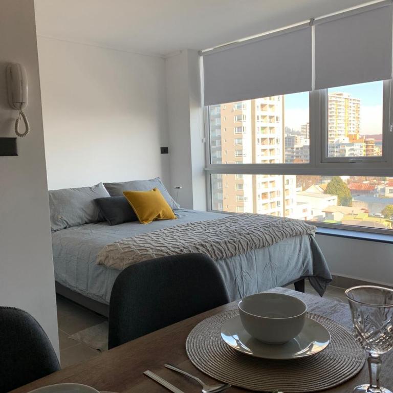 Black Dep Concepción - Apartamento de 1 dormitorio - 7