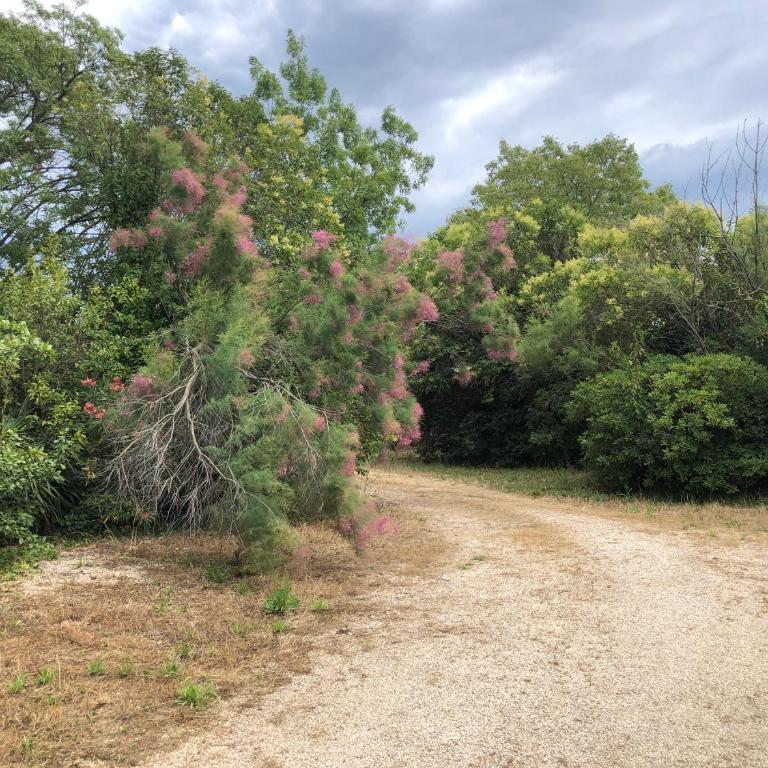 La Source - Villa - 40