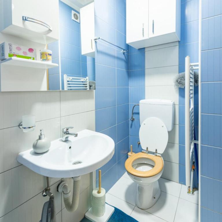 Šarmantan stan u centru grada - Apartman sa 1 Spavaćom Sobom - 13