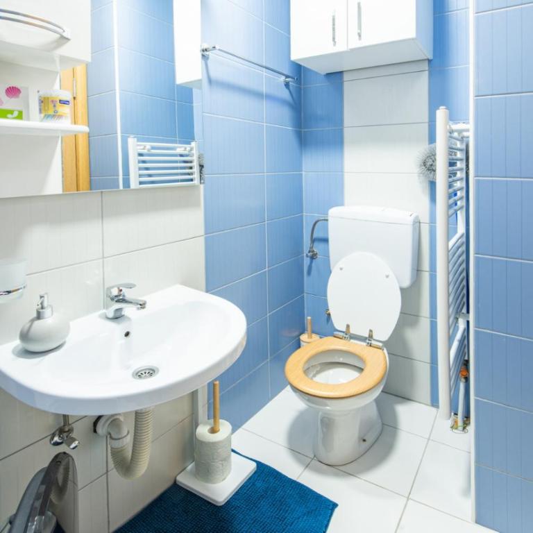 Šarmantan stan u centru grada - Apartman sa 1 Spavaćom Sobom - 16