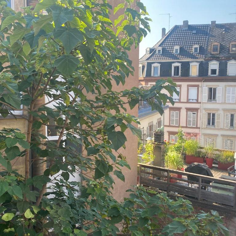 La Petite Auberge de Strasbourg - Apartamento Clásico - 2