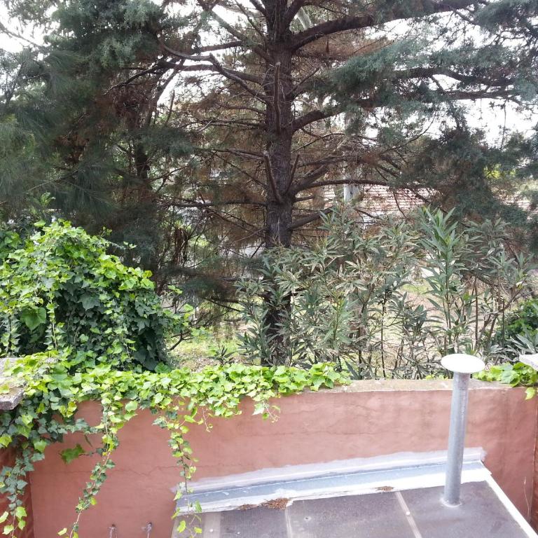 MaJoMi Toninas - Apartment - Split Level - 12