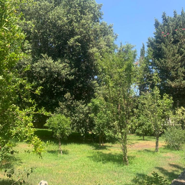 Dimora Madreperla - Casa con 2 Camere da Letto - 44