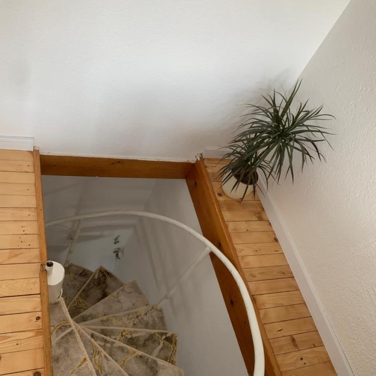 Little Heaven FREE PARKING - Apartman sa 1 Spavaćom Sobom - 15