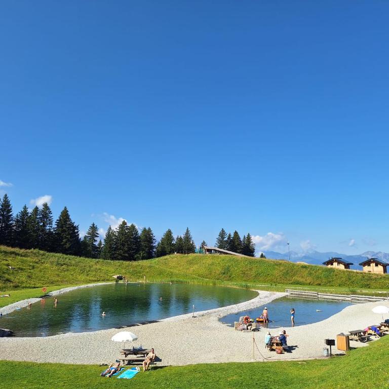 Le Perchoir - Apartment mit Blick auf die Berge - 12