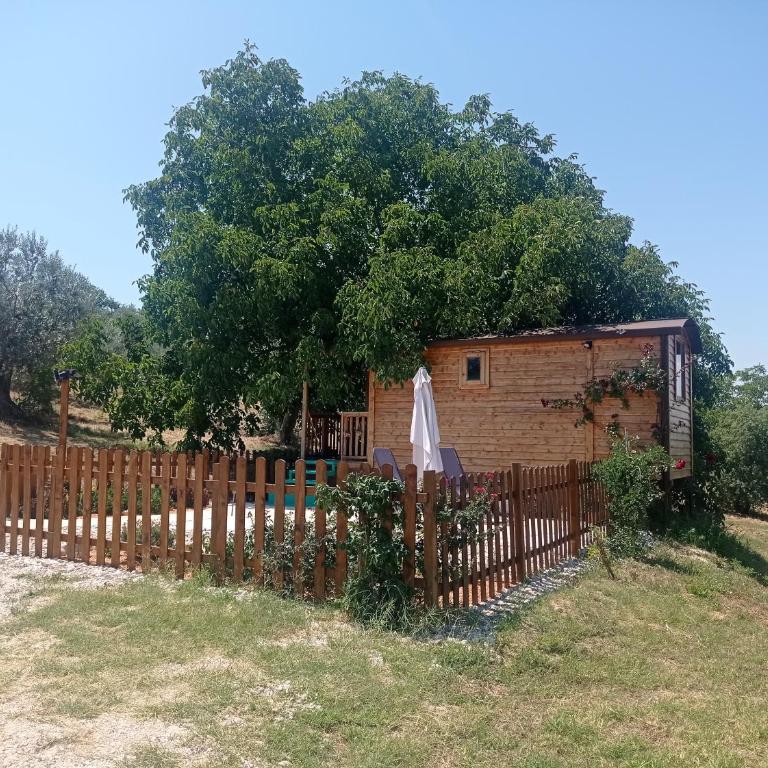 La casetta sotto l'albero LA CAROVANA GITANA - Double Room with Terrace - 61