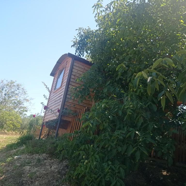 La casetta sotto l'albero LA CAROVANA GITANA - Double Room with Terrace - 63
