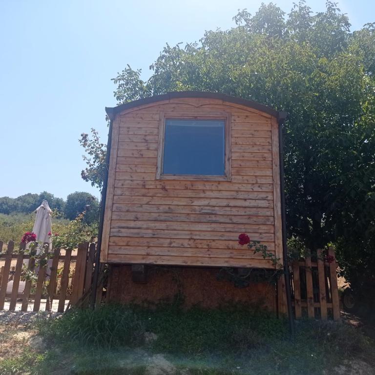 La casetta sotto l'albero LA CAROVANA GITANA - Double Room with Terrace - 64
