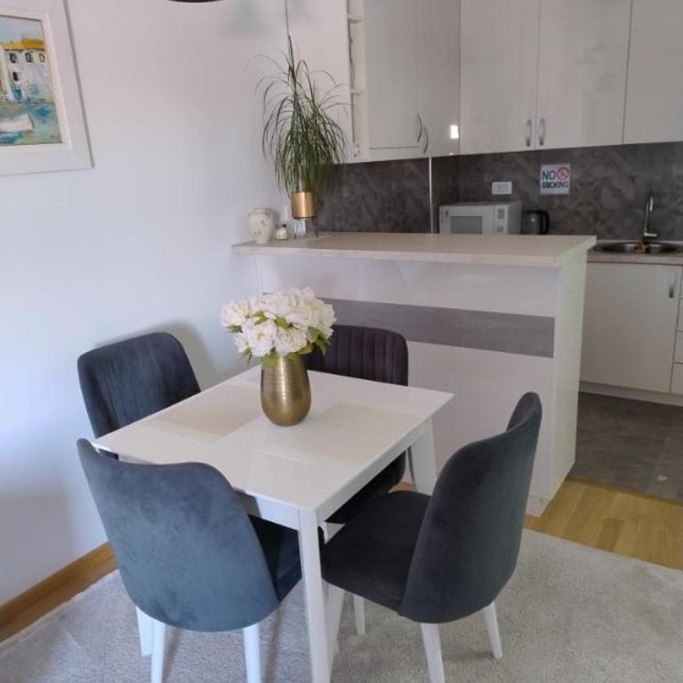 Lovely apartment - Ljupki stan - Apartman sa 1 Spavaćom Sobom - 5