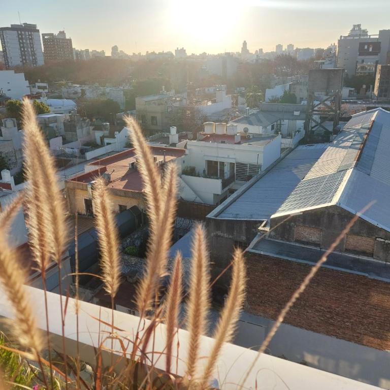 Soy Rodri ,te espero en palermo - Apartamento de 1 dormitorio - 22