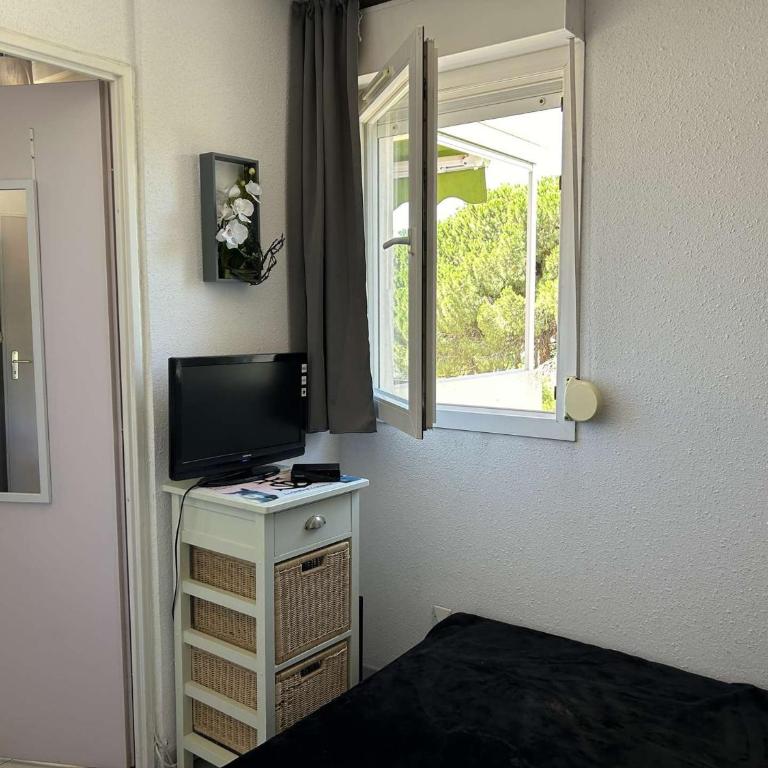 Appt 2 pièces avec terrasse, clim, piscine, parking à Port Camargue - FR-1-250-292 - Apartment - 10