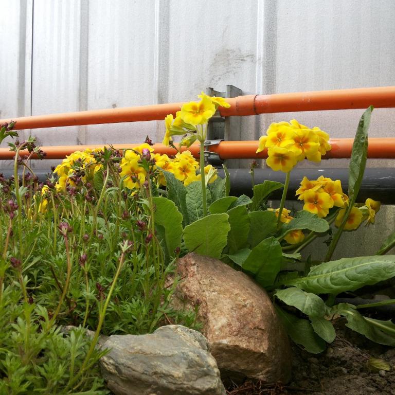 VALYAK rent apart hotel - Servicios Integrales - Apartamento - 2 niveles - 36