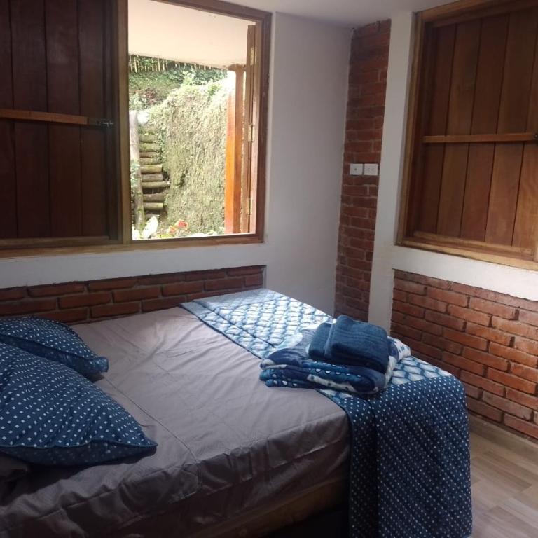 Finca Turística Vía Filandia- Alcalá - Apartamento de 2 dormitorios - 13