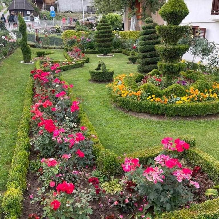 City Garden - Apartman sa 1 Spavaćom Sobom - 9