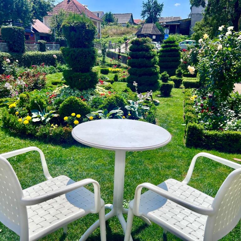 City Garden - Apartman sa 1 Spavaćom Sobom - 3