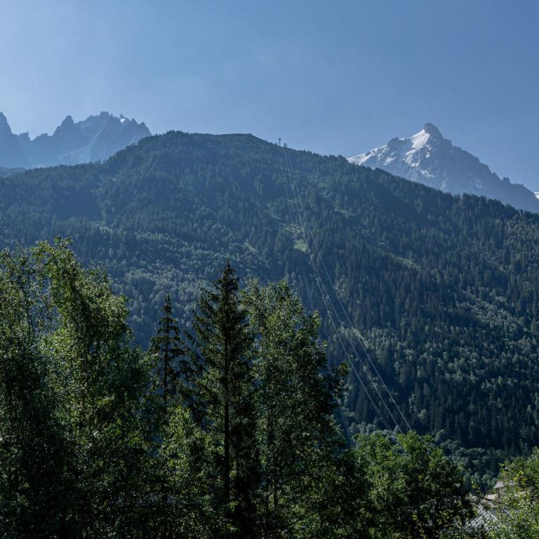 Coeur des Alpes - A spacious 3-bedroom apartment with spectacular views - Appartamento - 25