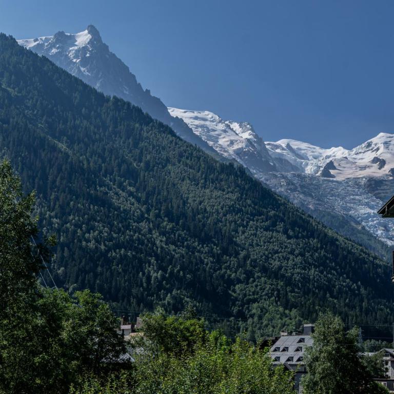 Coeur des Alpes - A spacious 3-bedroom apartment with spectacular views - Appartamento - 26