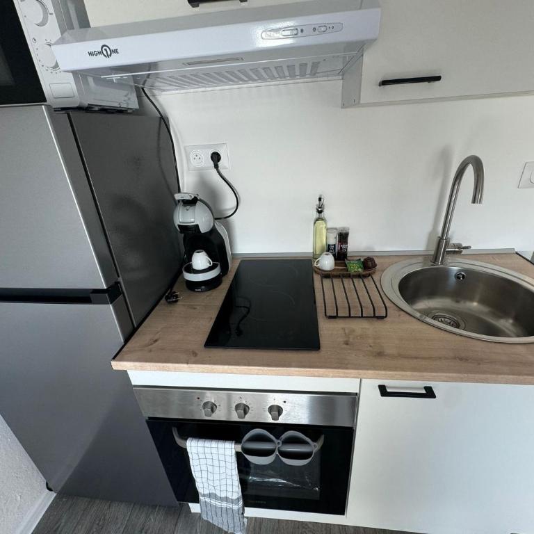 "Eucalyptus " Centre ville, stationnement gratuit et proche tram - Appartamento con 1 Camera da Letto - 14