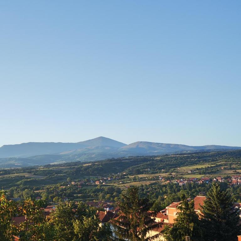 Milijic Lux 2 - Apartman sa 1 Spavaćom Sobom - 1