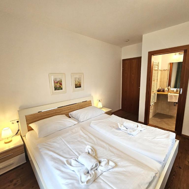 Apartment Franca Bad Kleinkirchheim - Apartment mit 2 Schlafzimmern - 19
