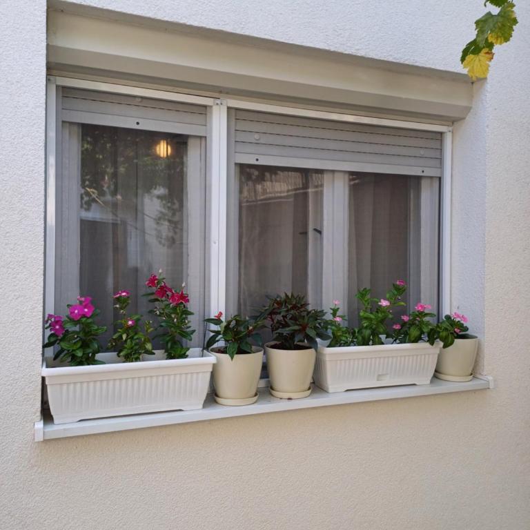 Guest House Mostar - Twin Room - 3