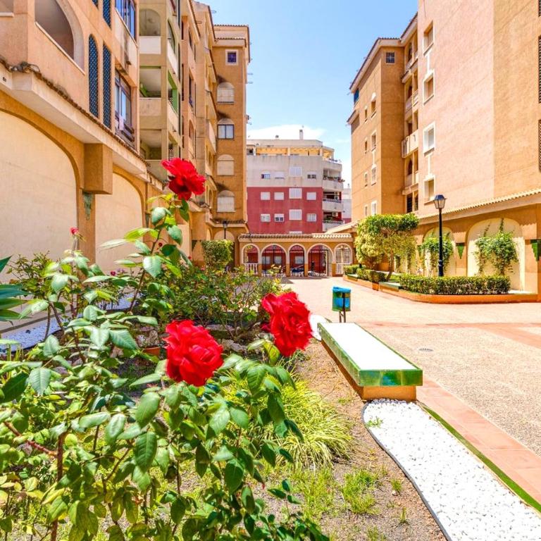 Sunny Apartment in Torrevieja - Apartamento de 2 dormitorios - 4