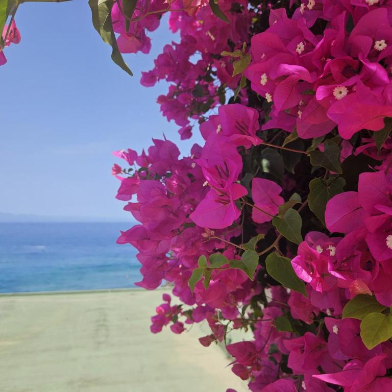 PaulMarie Apartment Playa La Arena - Apartamento de 1 dormitorio - 21